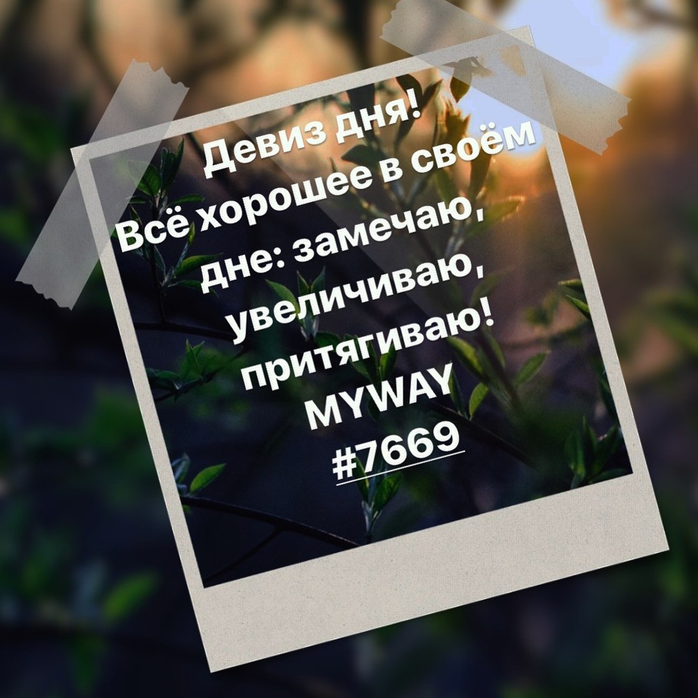 Порадоваться