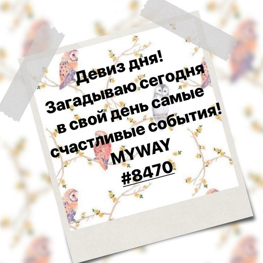 Порадоваться