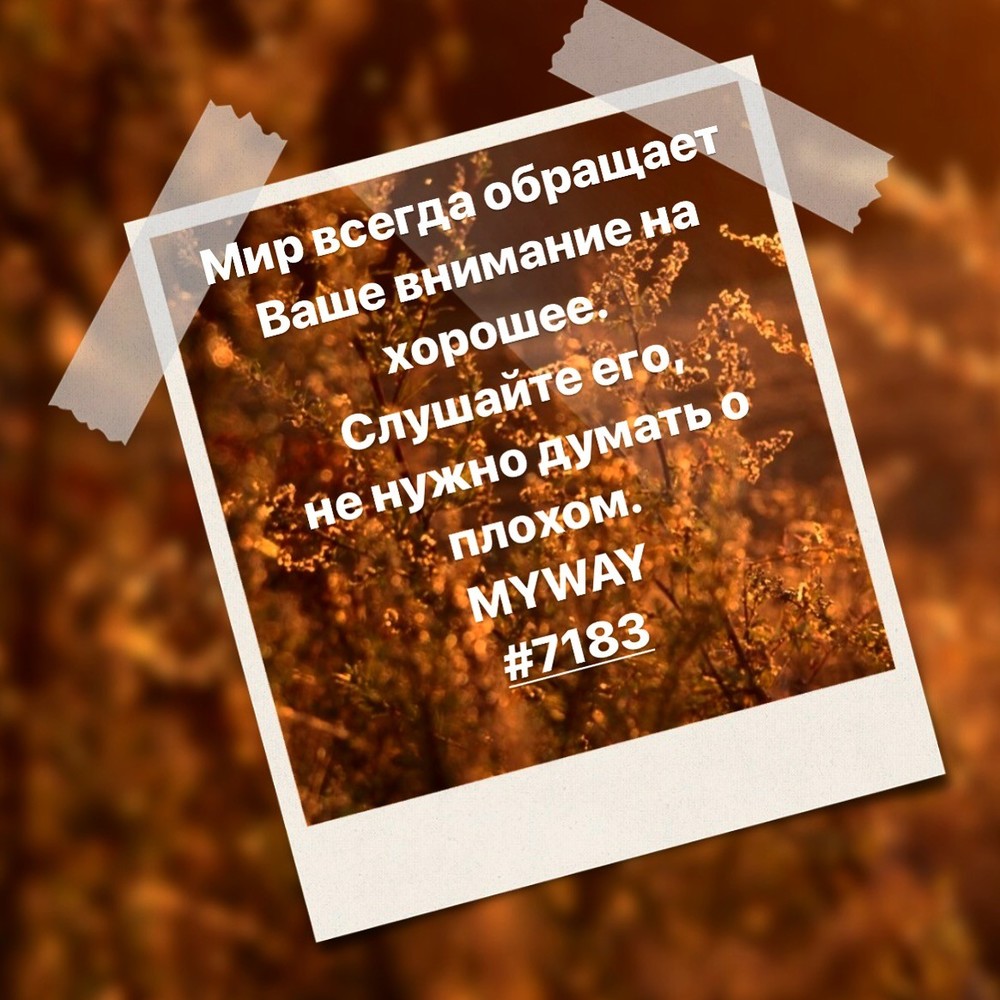 Порадоваться