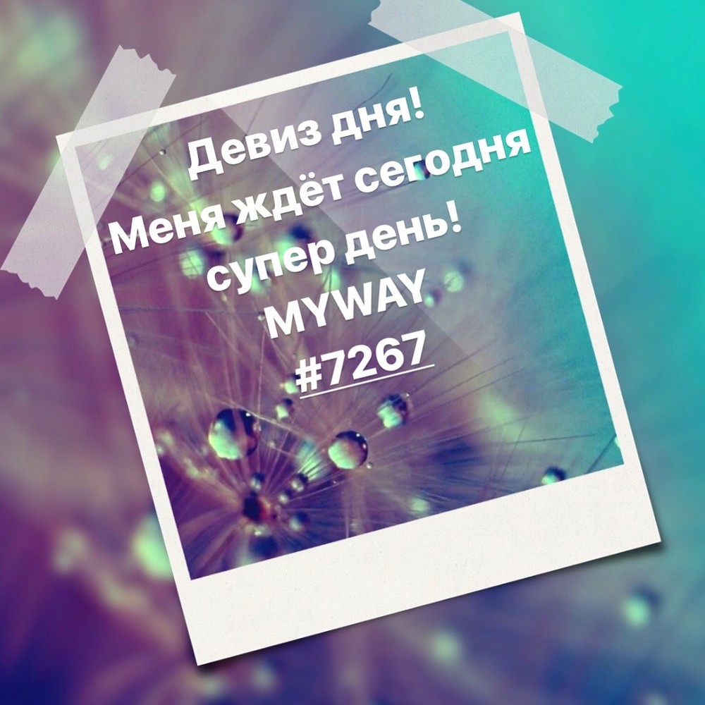 Порадоваться