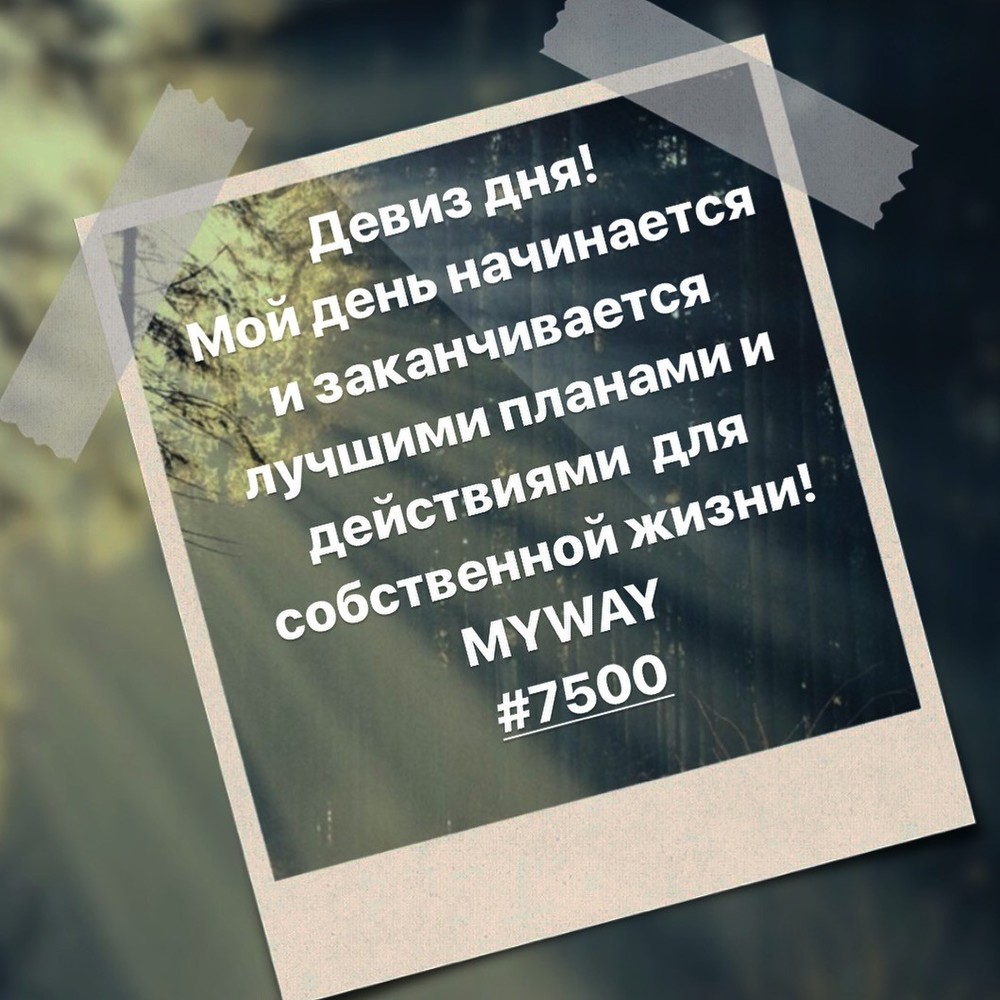 Порадоваться