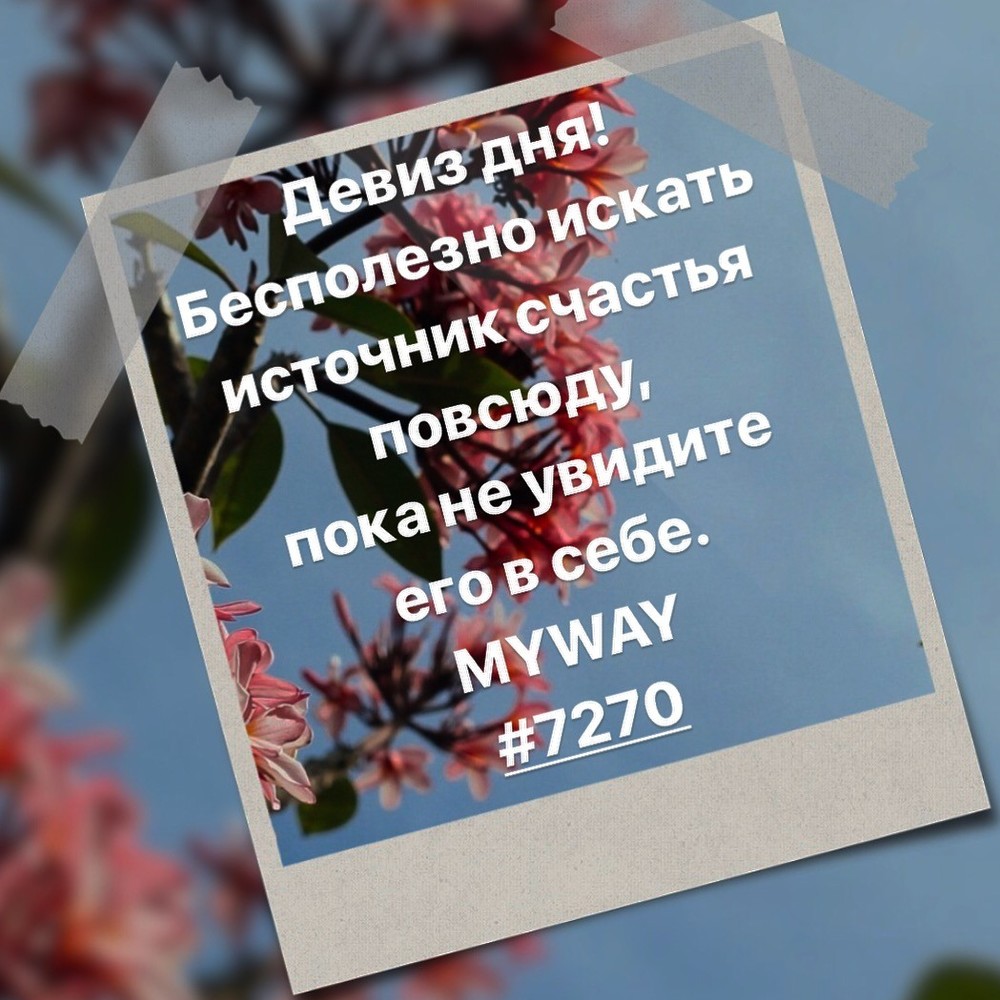 Порадоваться