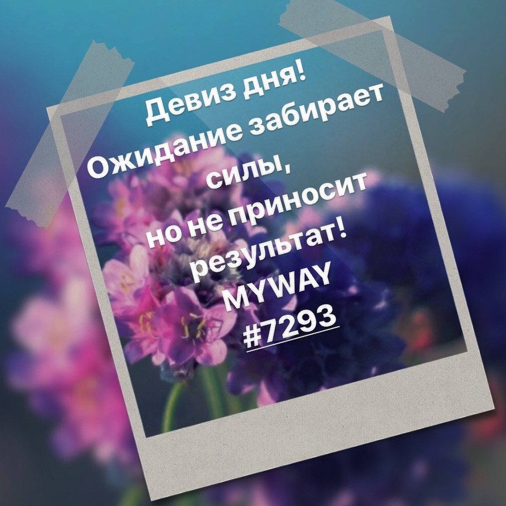 Порадоваться