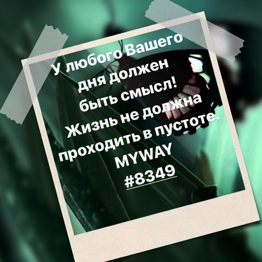Порадоваться