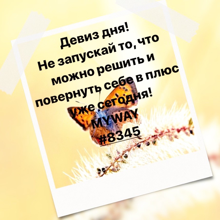 Порадоваться