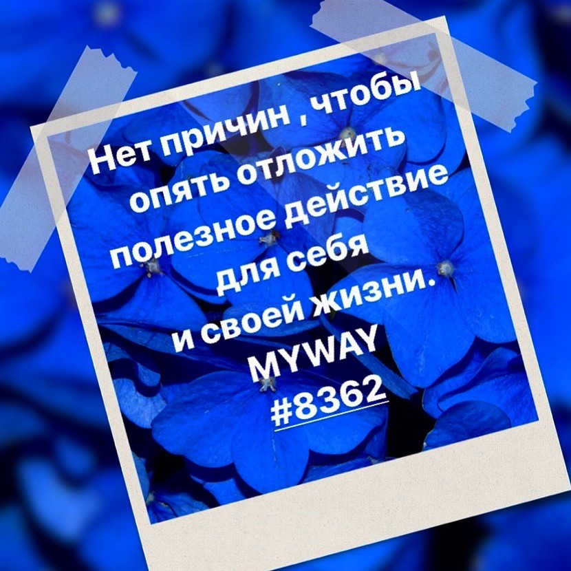 Порадоваться