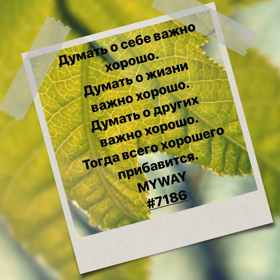 Порадоваться