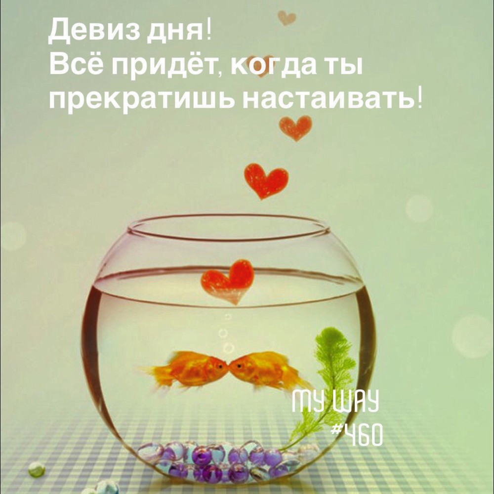 Порадоваться