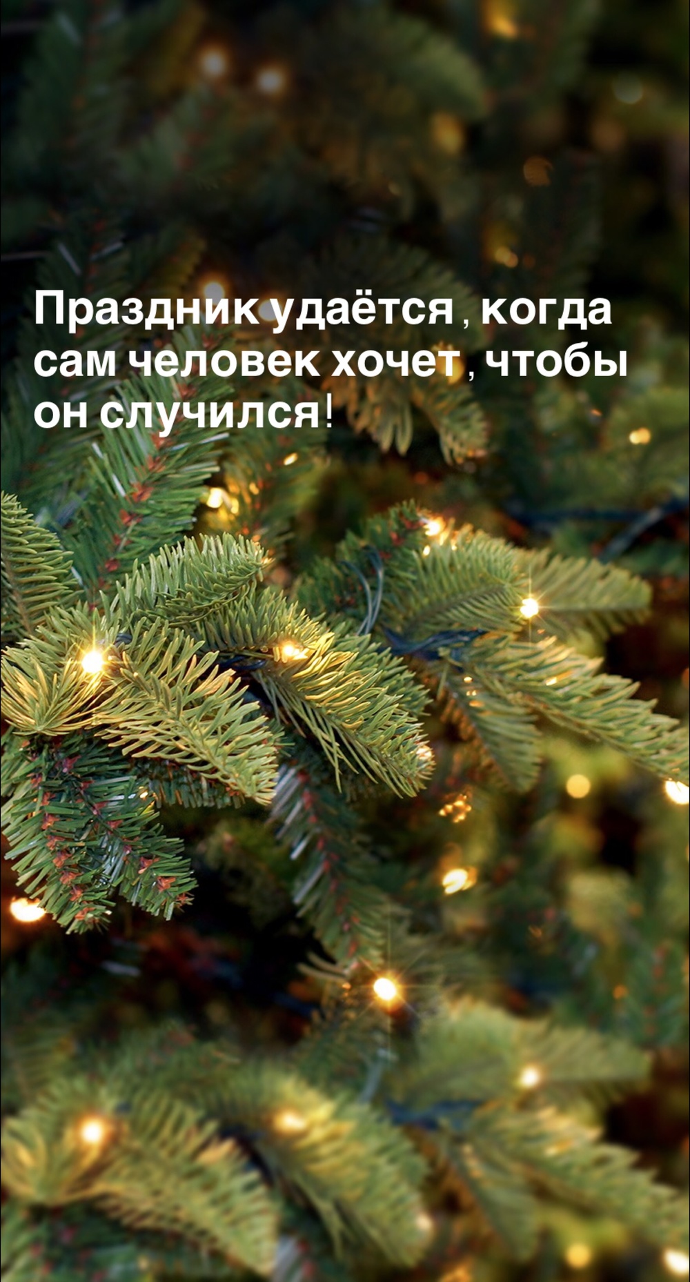 Порадоваться