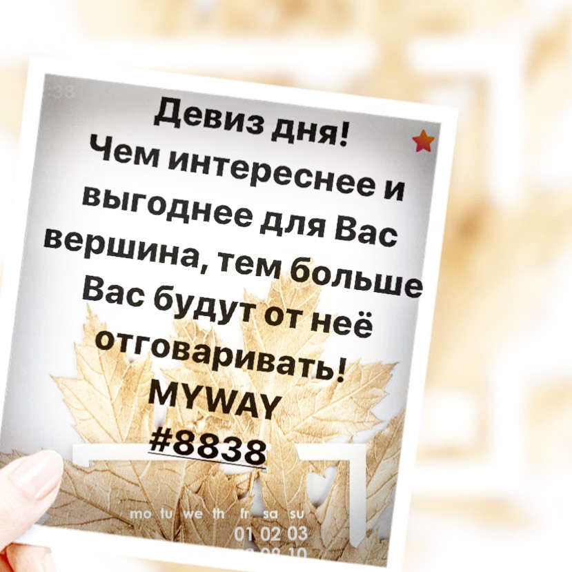 Порадоваться
