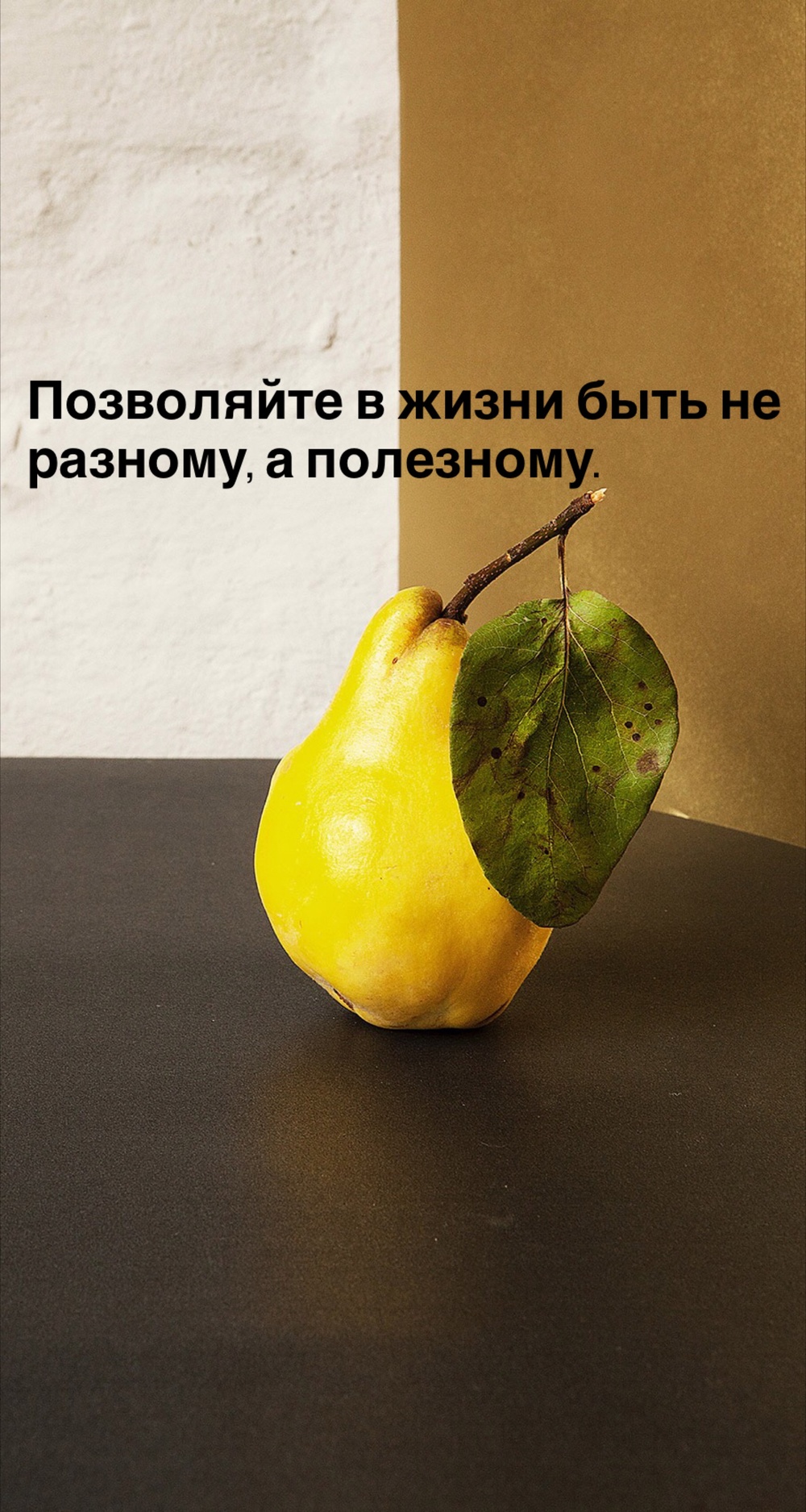Порадоваться