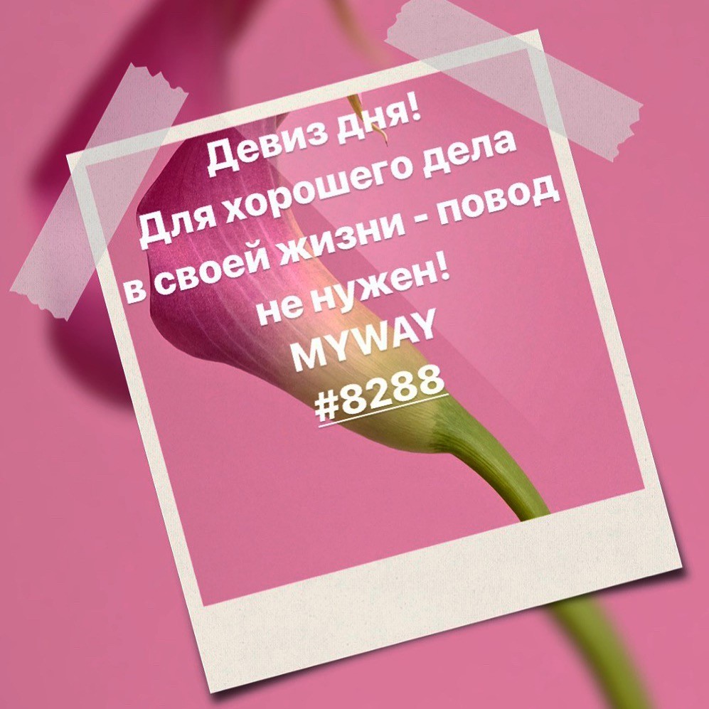 Порадоваться
