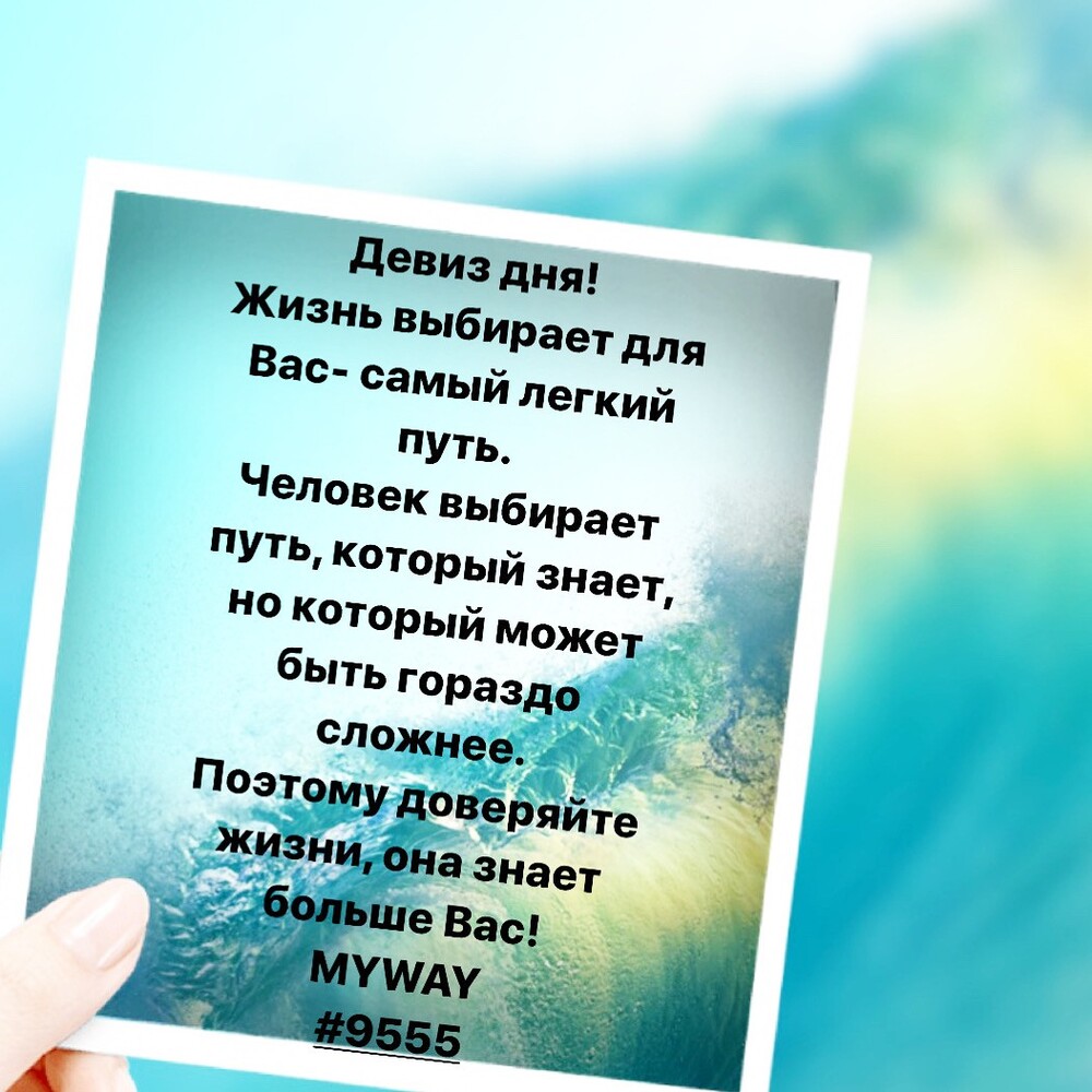 Порадоваться