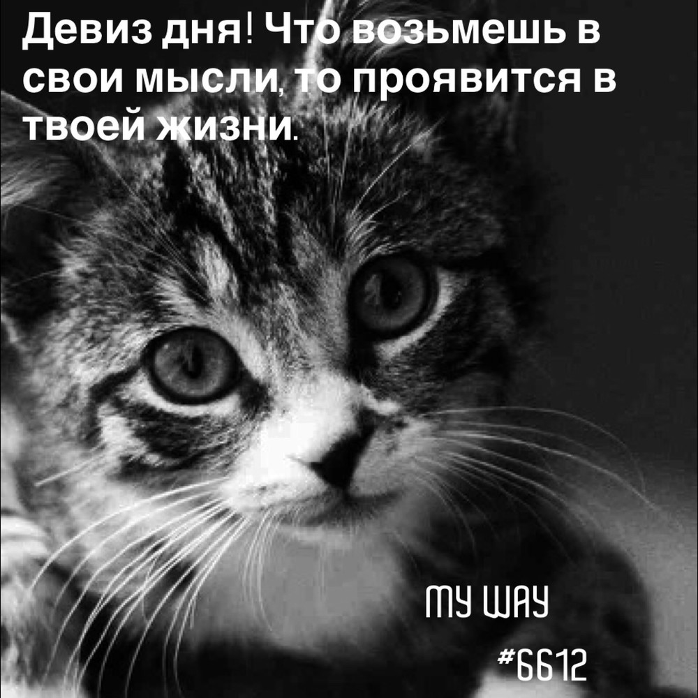 Порадоваться