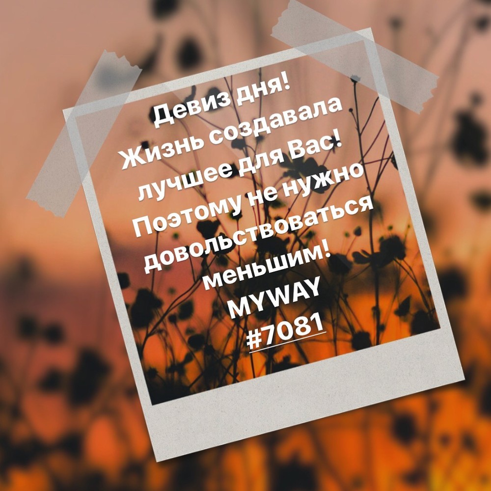 Порадоваться