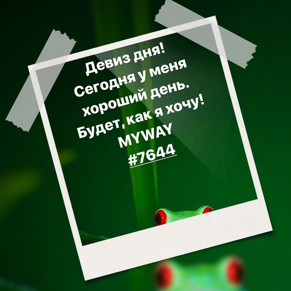 Порадоваться