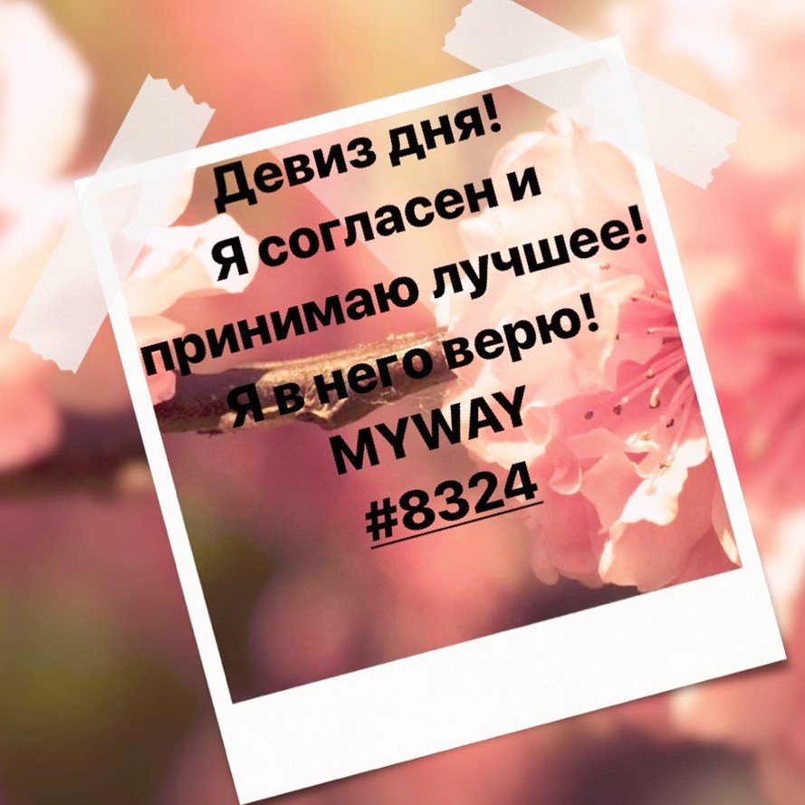 Порадоваться