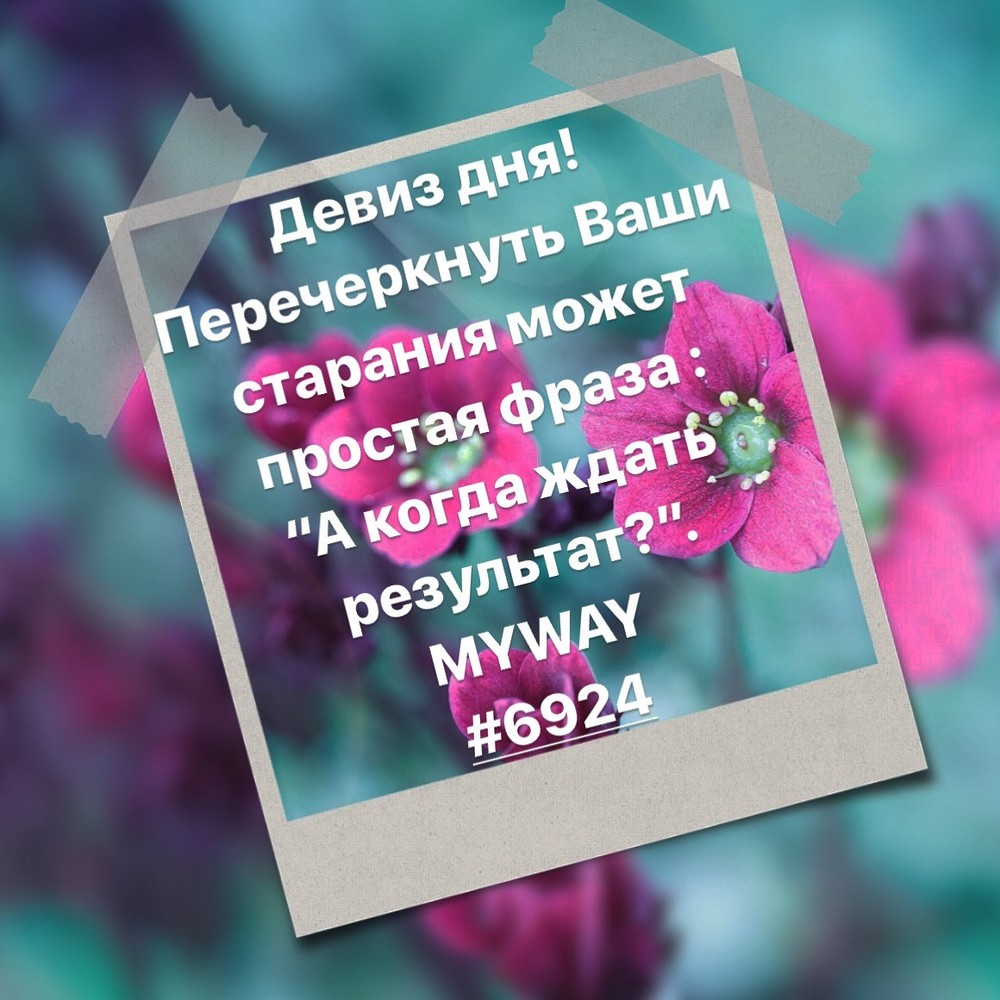 Порадоваться