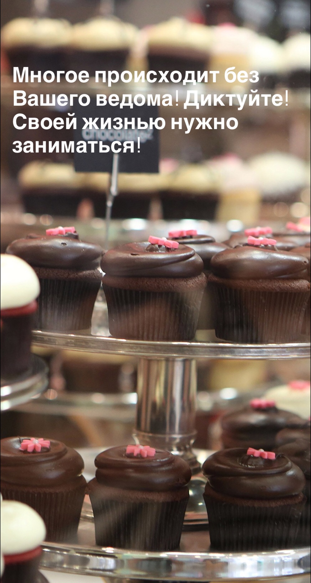 Порадоваться