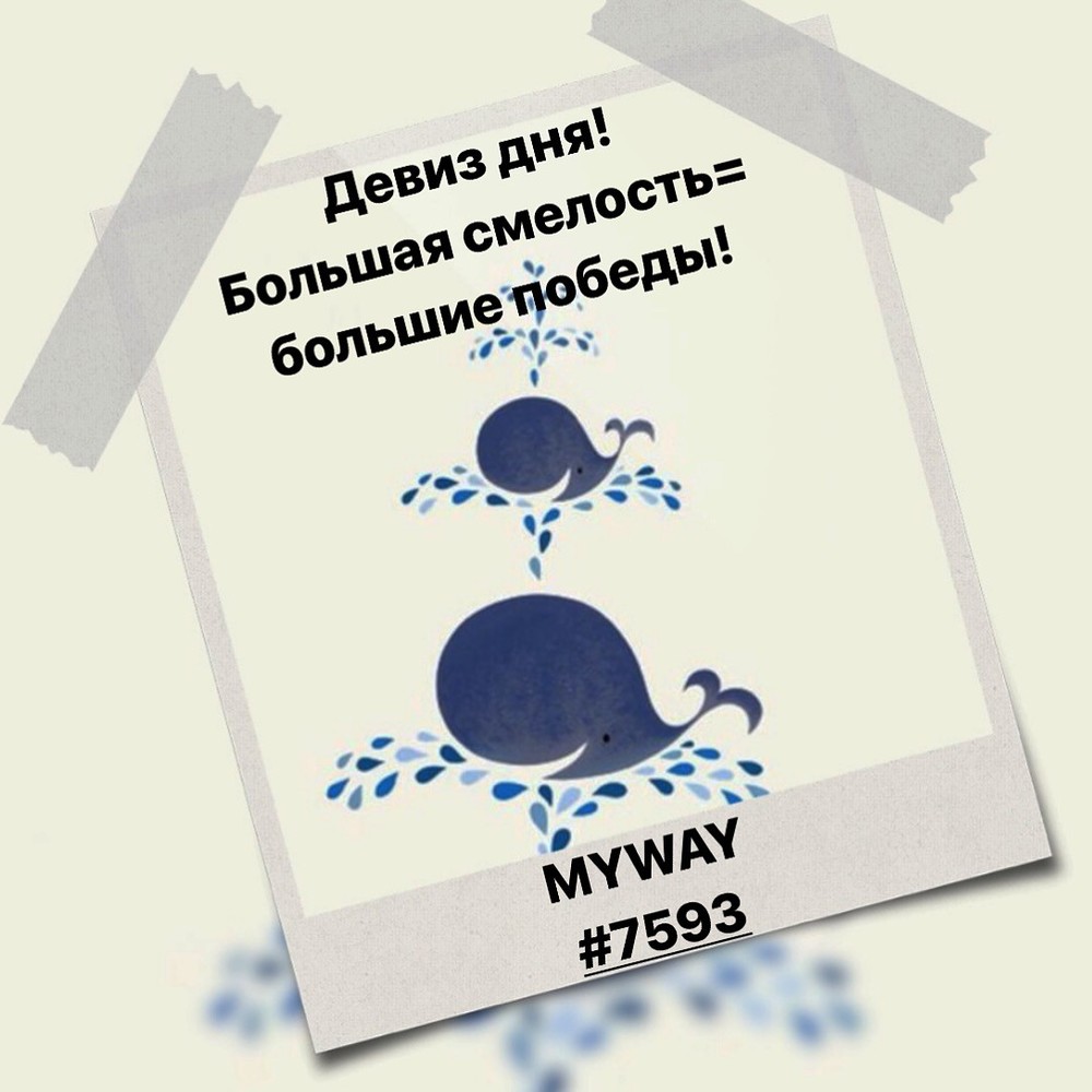 Порадоваться