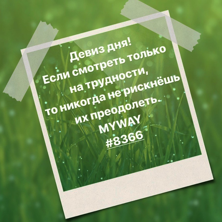 Порадоваться