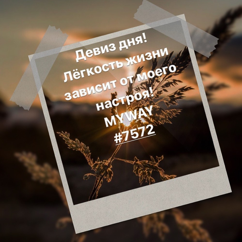 Порадоваться