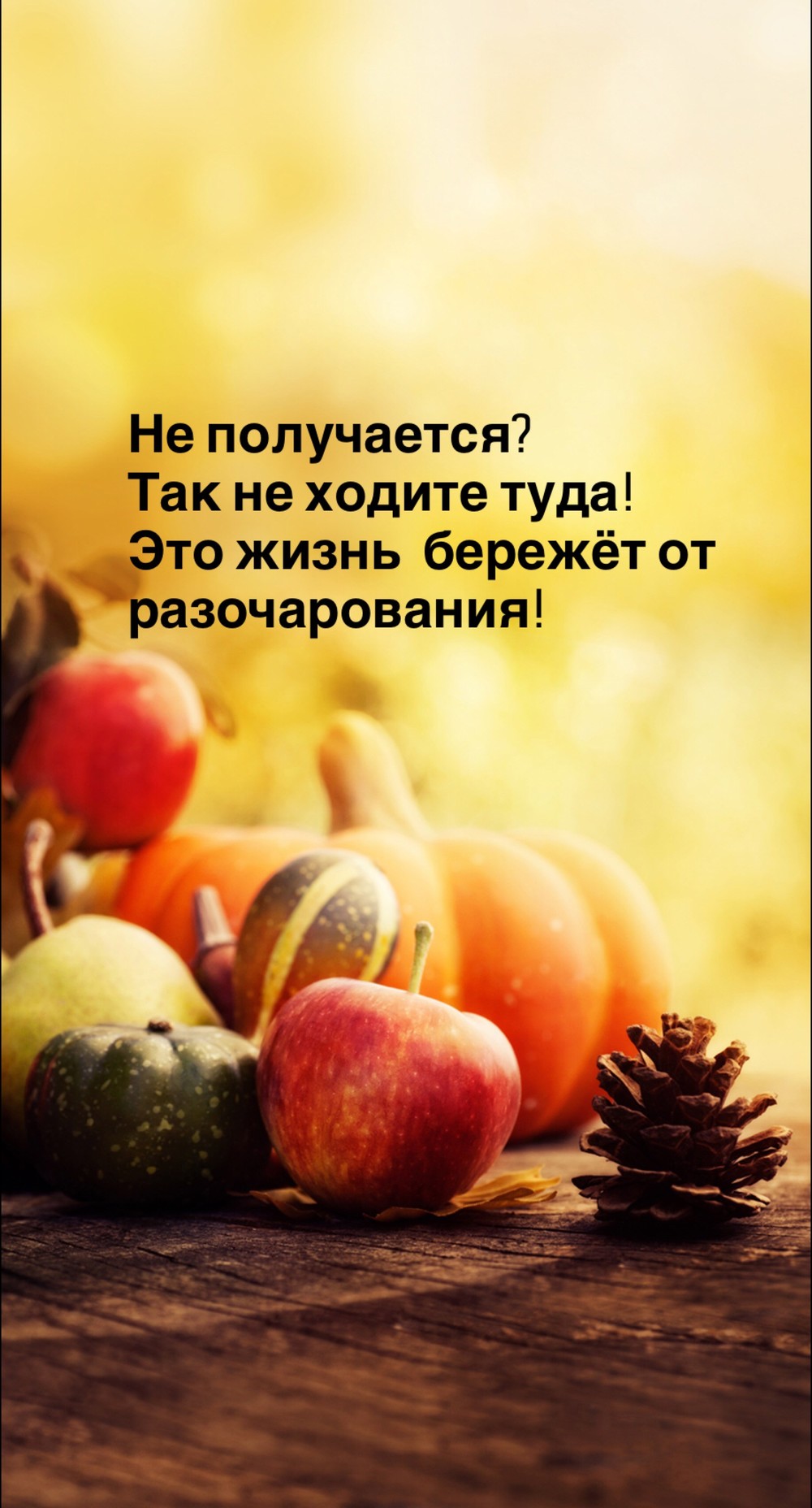Порадоваться