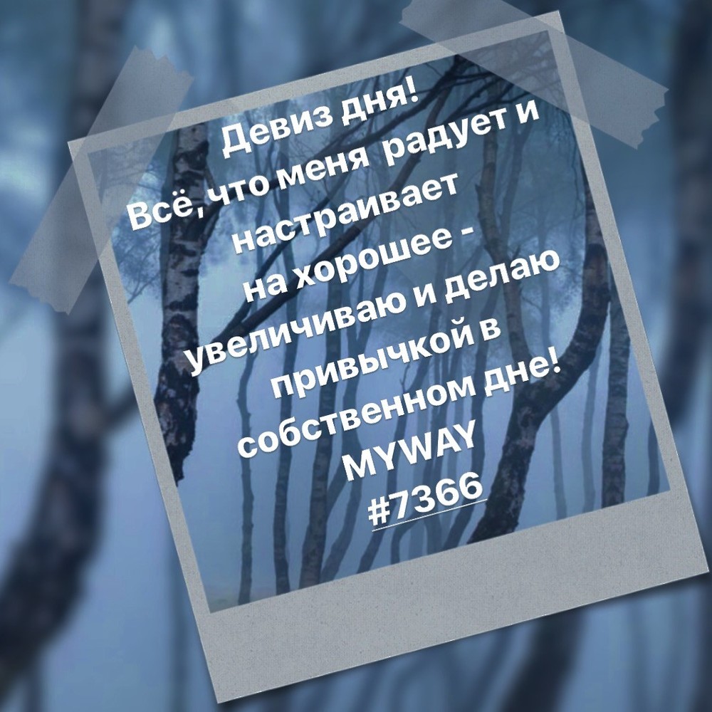 Порадоваться