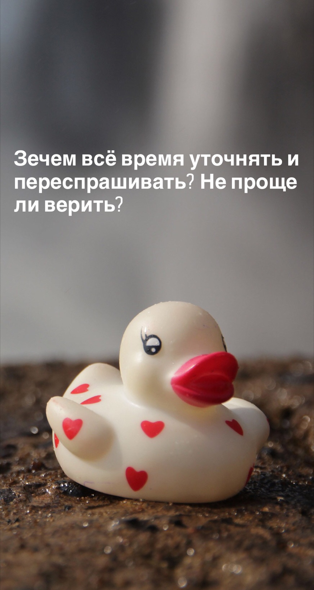 Порадоваться