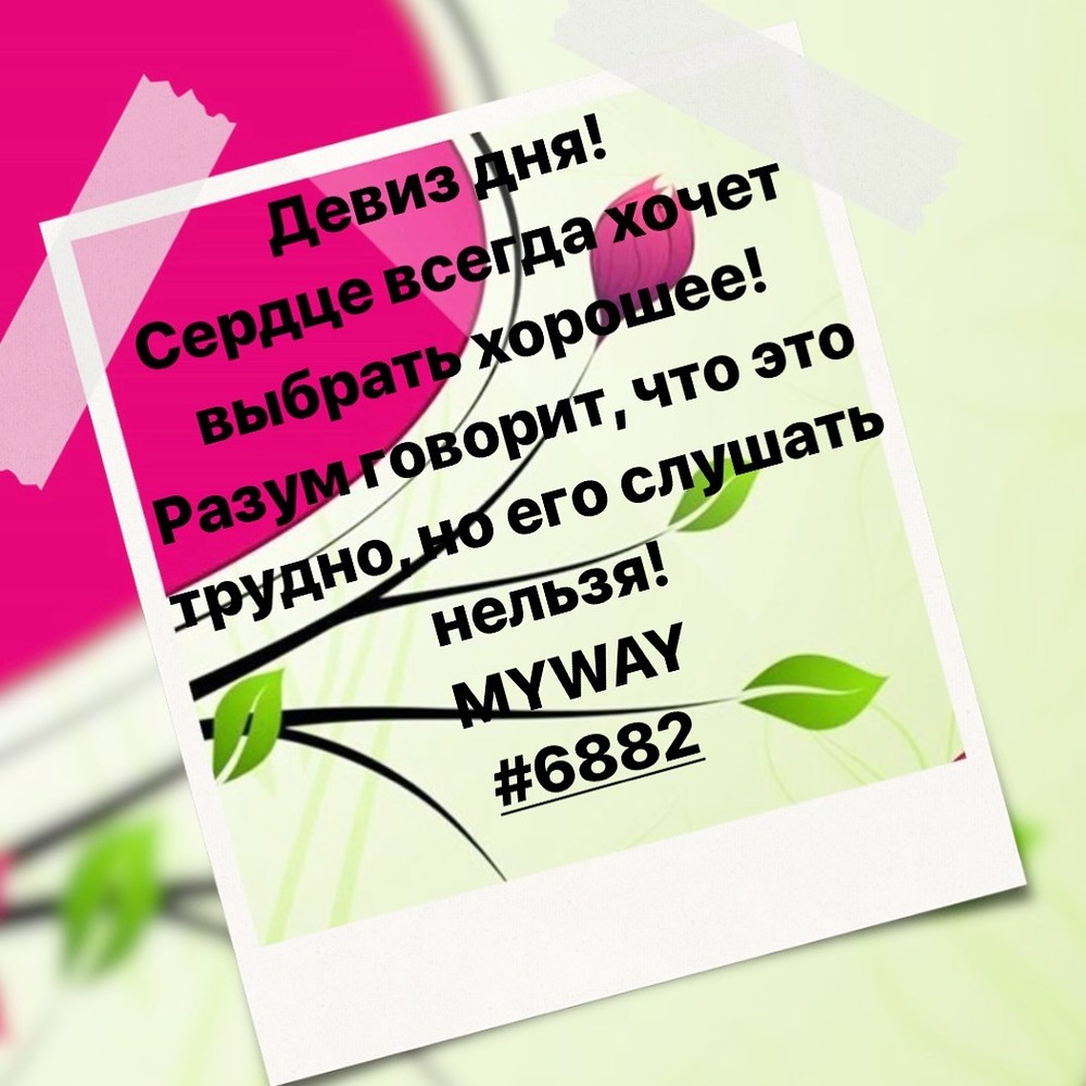 Порадоваться
