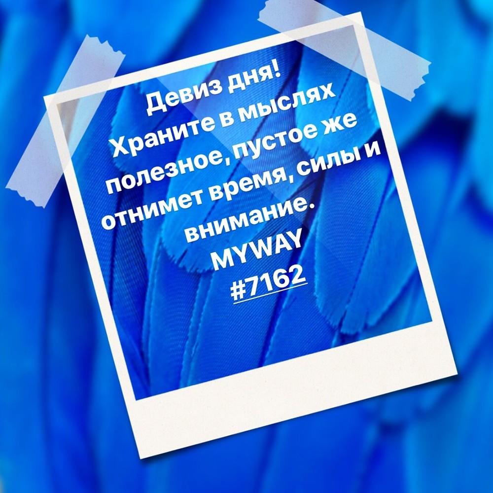 Порадоваться