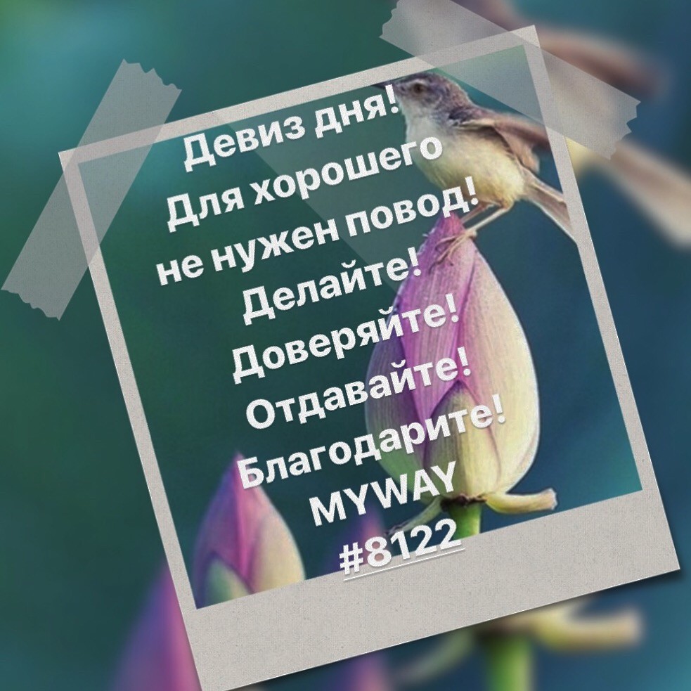 Порадоваться
