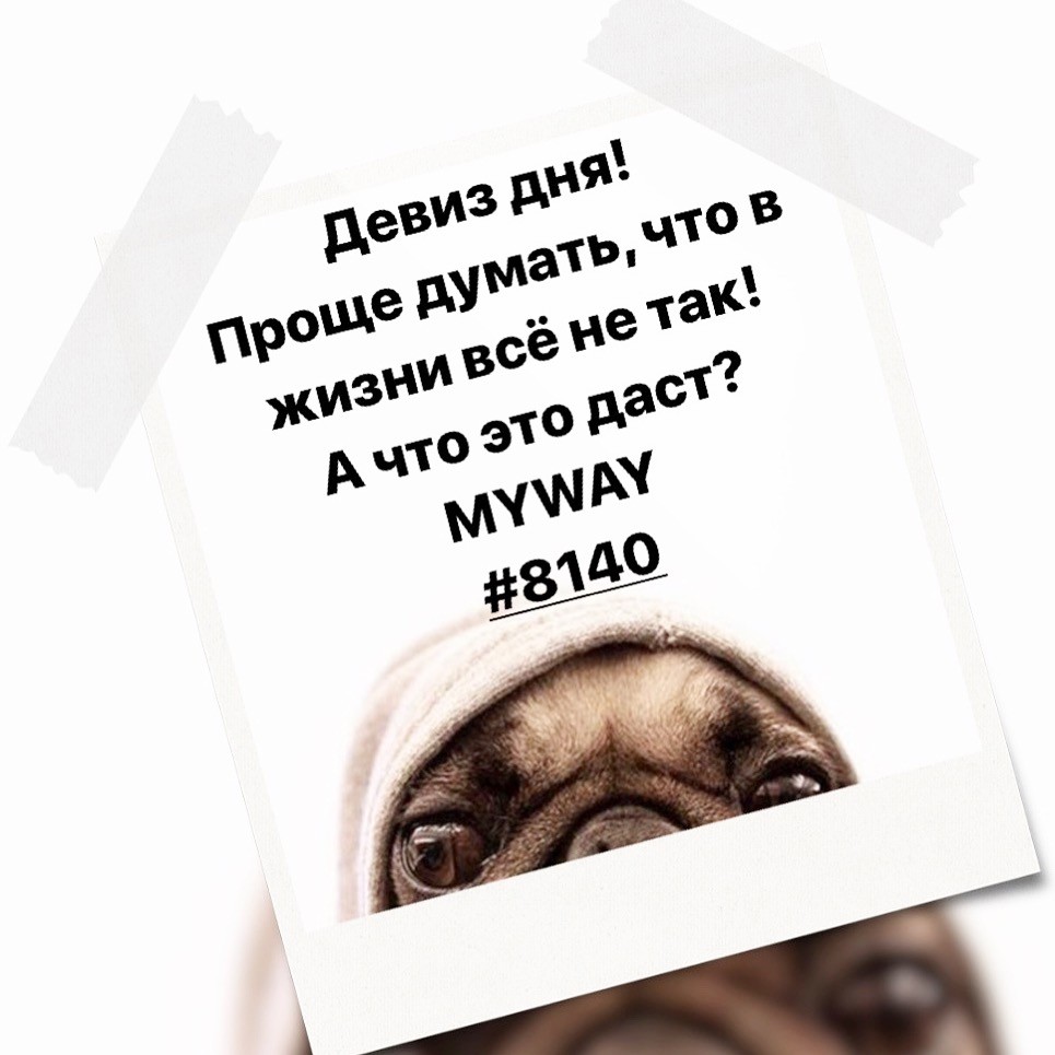 Порадоваться