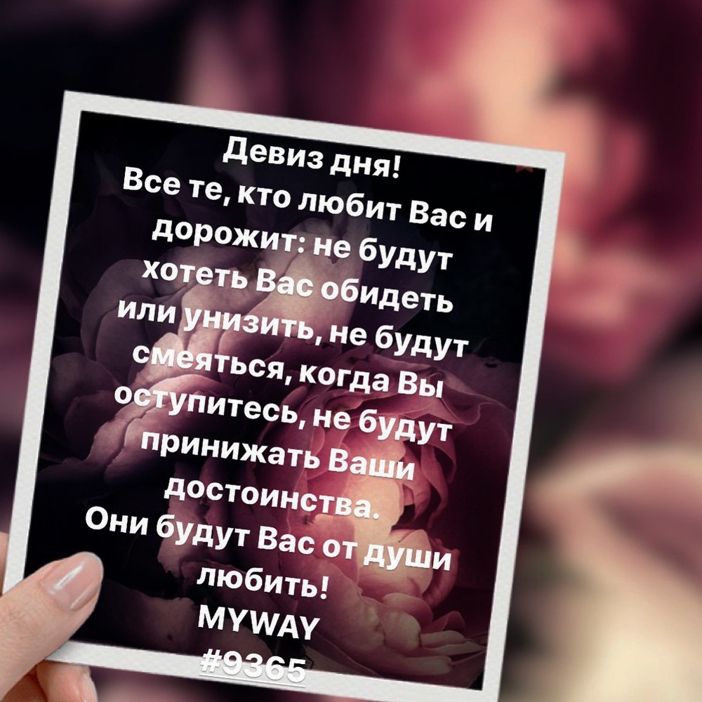 Порадоваться
