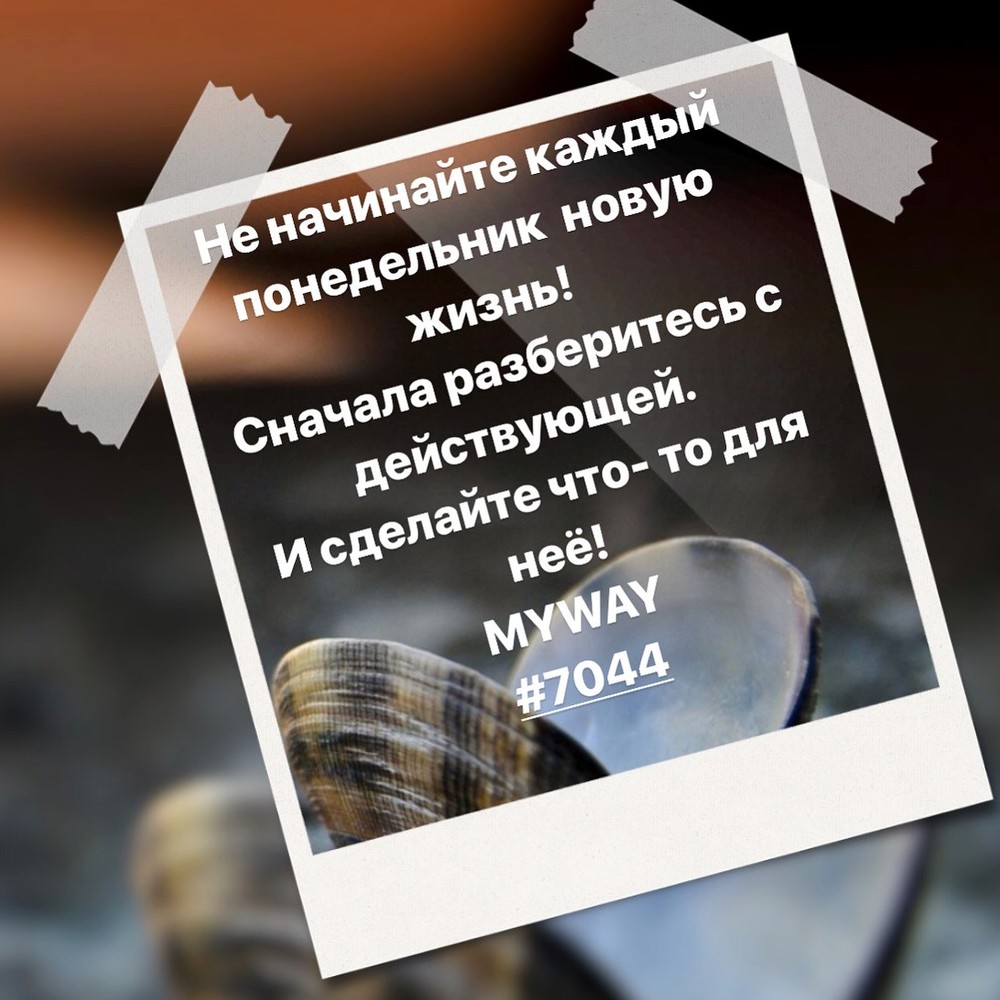 Порадоваться