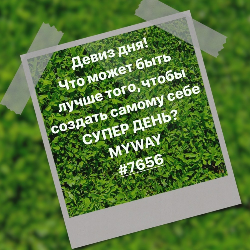 Порадоваться