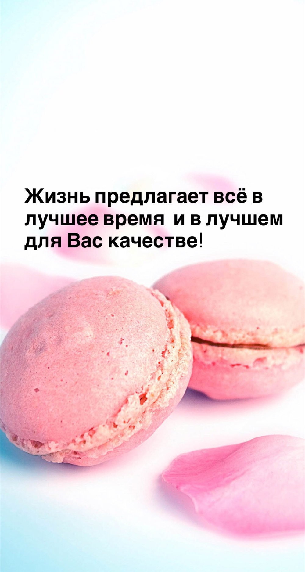 Порадоваться