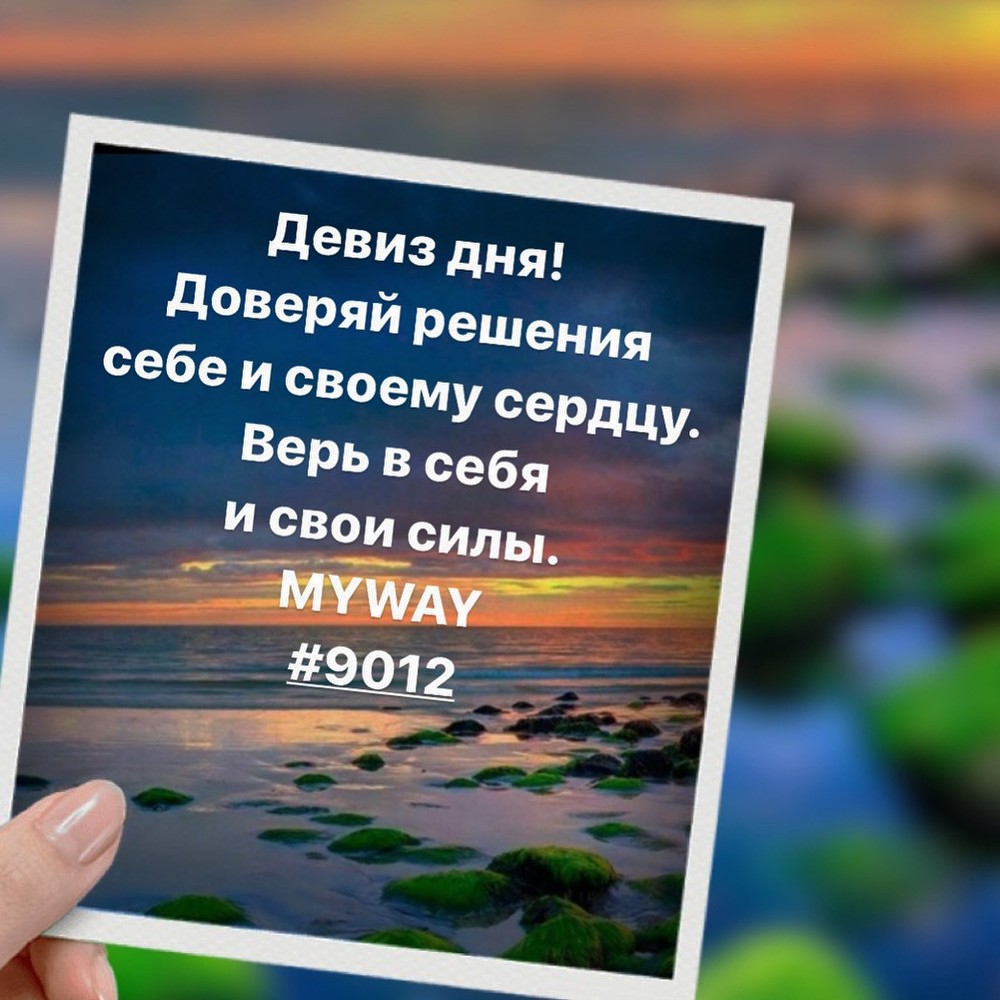 Порадоваться