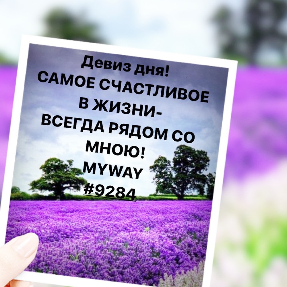 Порадоваться