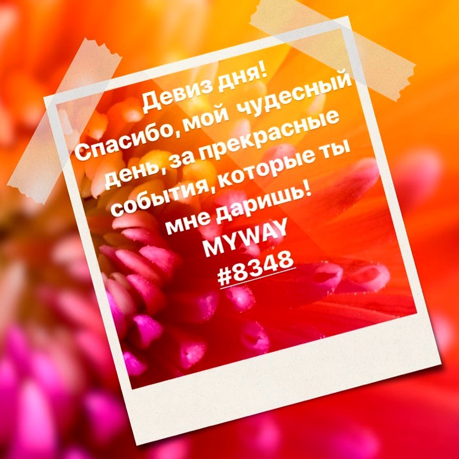 Порадоваться