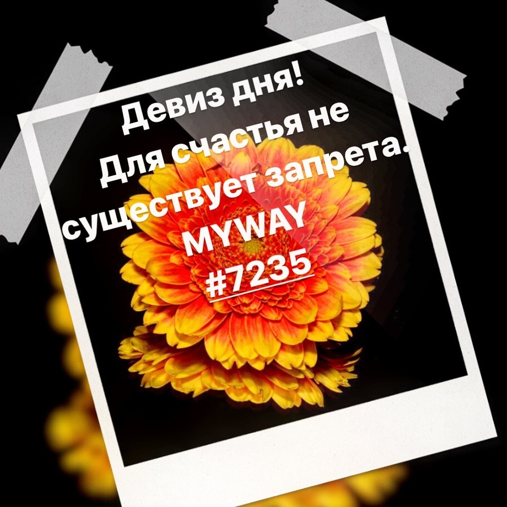Порадоваться