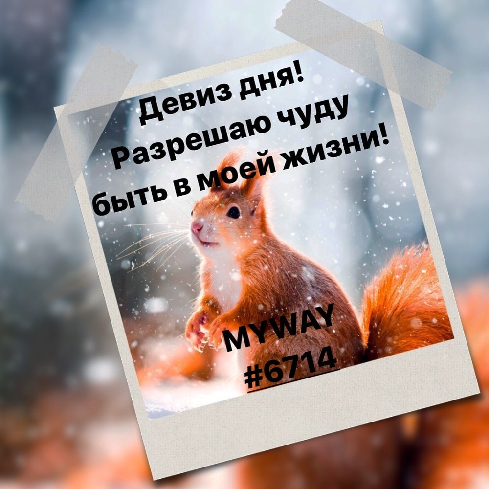 Порадоваться