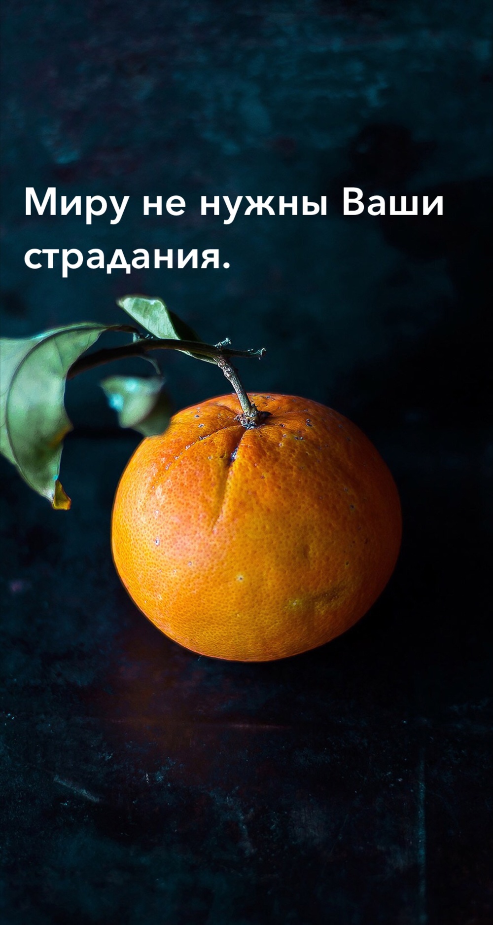 Порадоваться