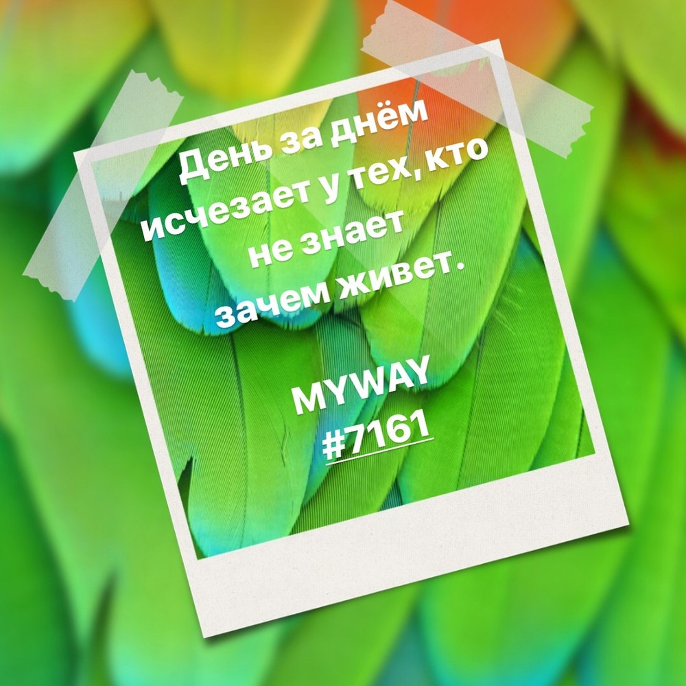 Порадоваться