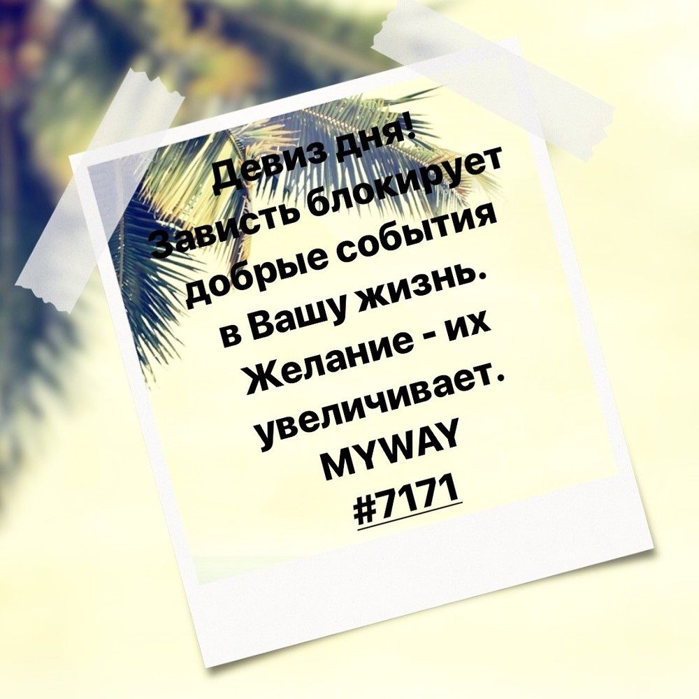 Порадоваться