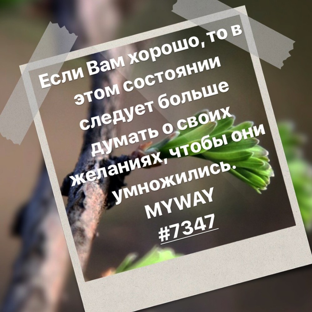 Порадоваться