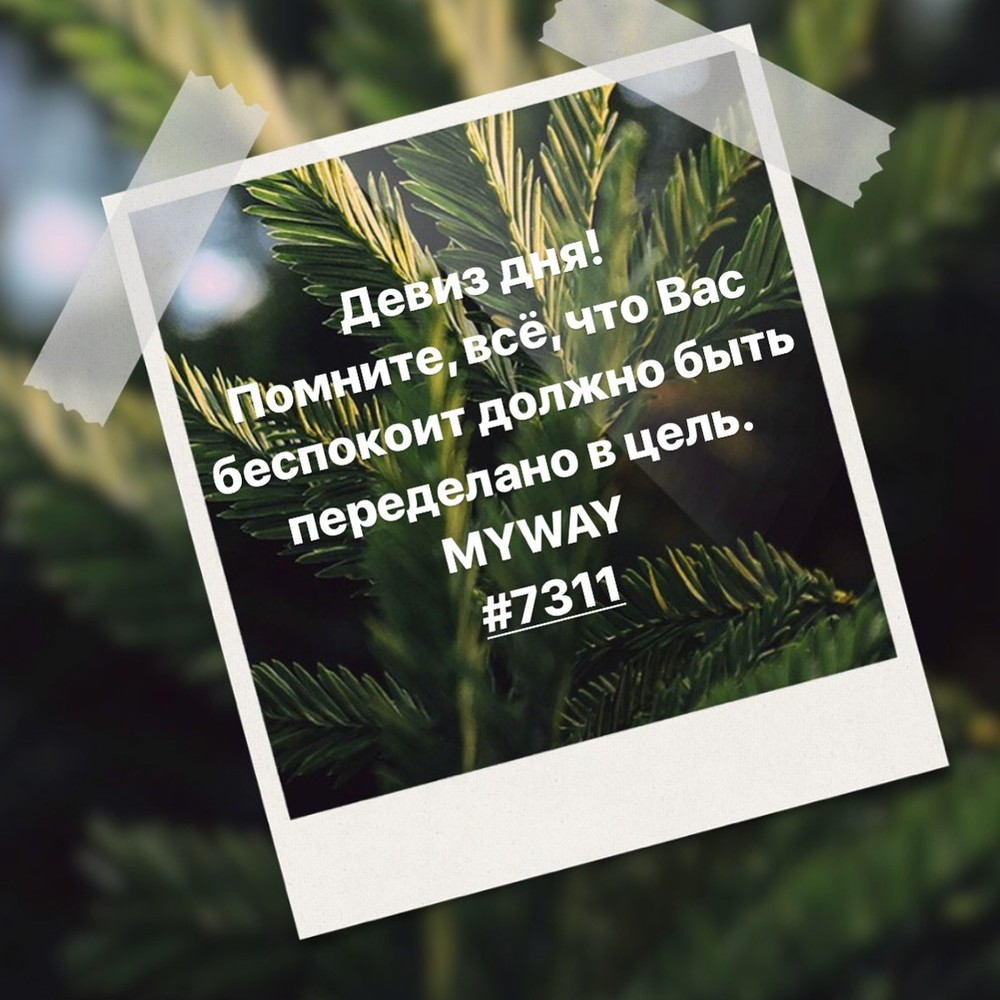 Порадоваться