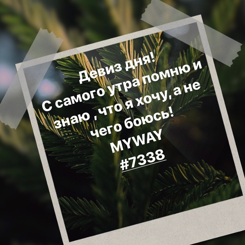 Порадоваться