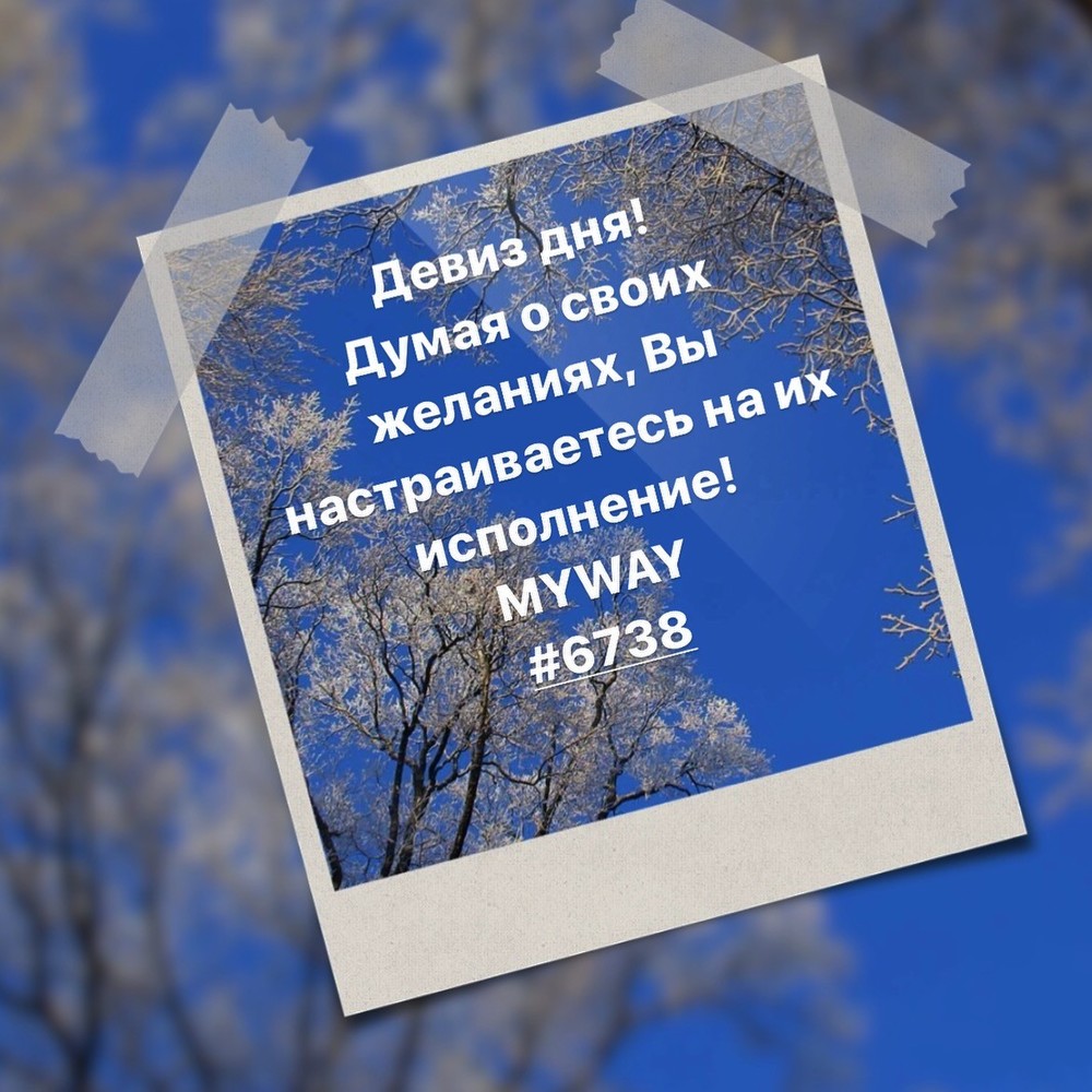 Порадоваться