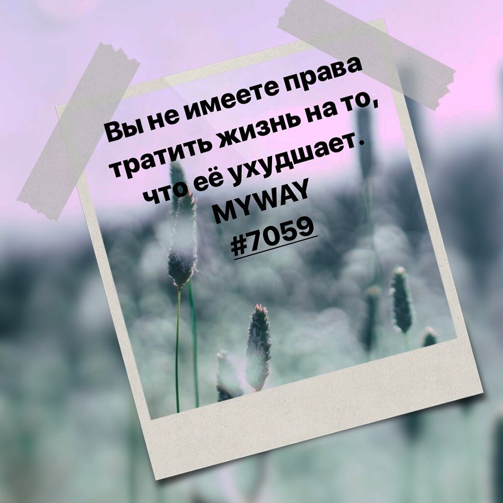 Порадоваться